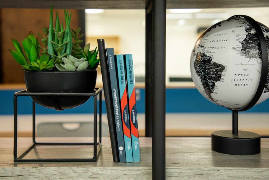 Succulent plants in a black pot, stacked books on storytelling in marketing, and a globe, symbolizing global digital marketing strategies.